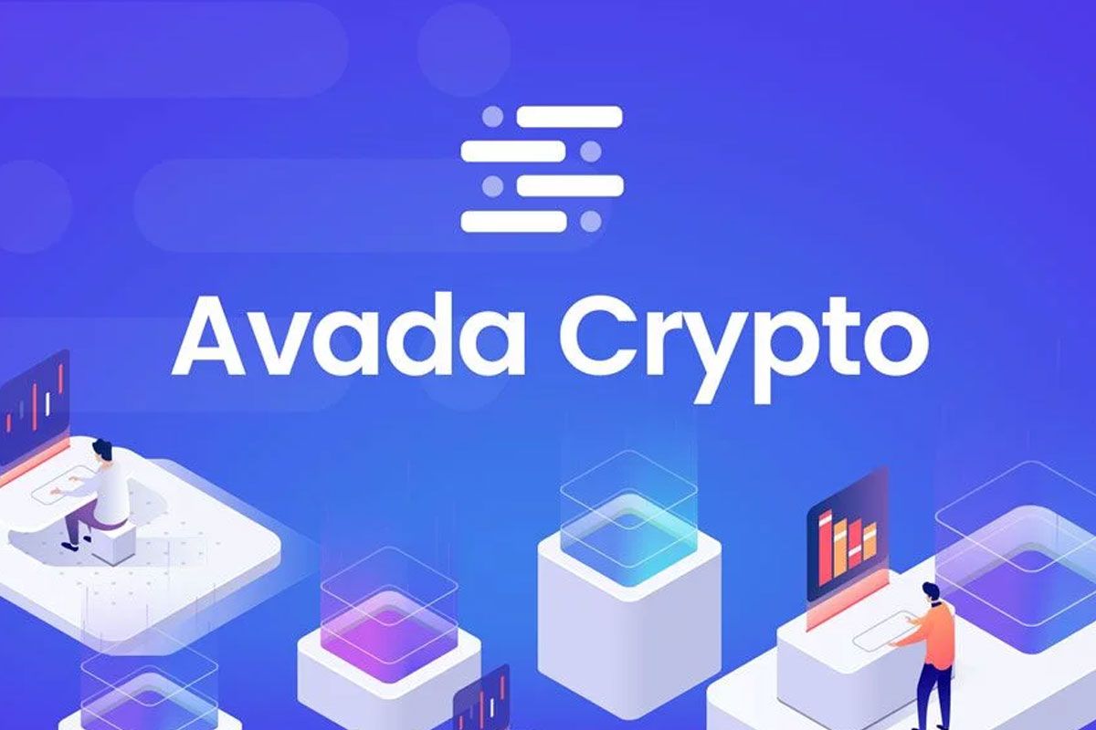 Avada: The Perfect Choice For You - Fundacion MINGAI